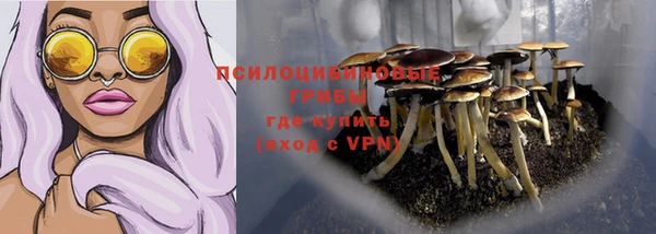 прущие грибы Алексеевка