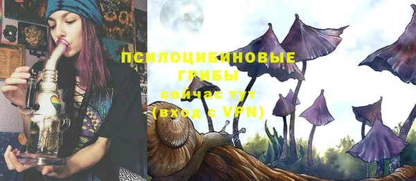 прущие грибы Алексеевка