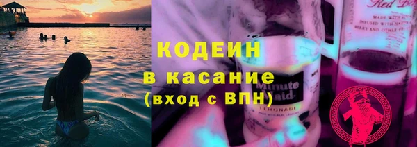 прущие грибы Алексеевка